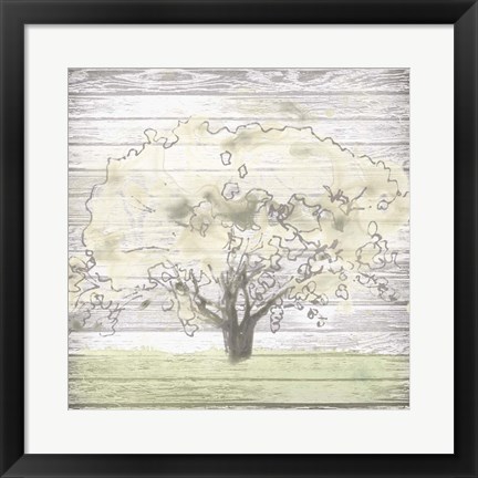 Framed Barn Tree I Print