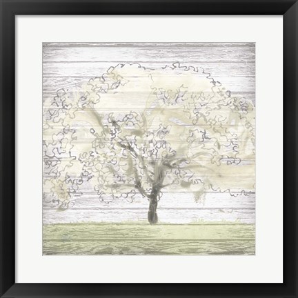 Framed Barn Tree II Print