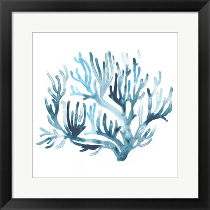 Framed Azure Seafan III Print