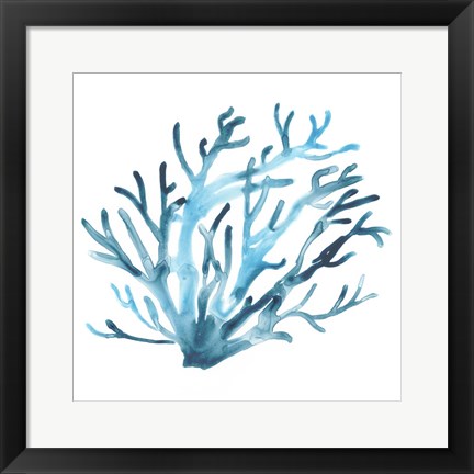 Framed Azure Seafan IV Print