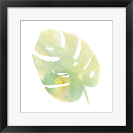 Framed Prisma Tropical I Print