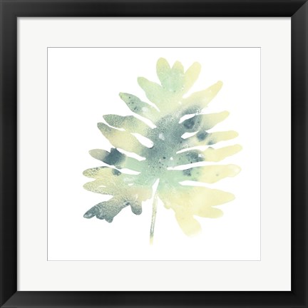 Framed Prisma Tropical VI Print