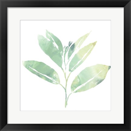 Framed Prisma Tropical II Print