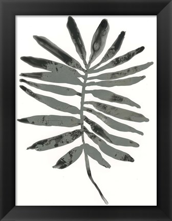 Framed Foliage Fossil VII Print