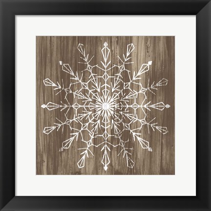 Framed Barnwood Wonderland VI Print