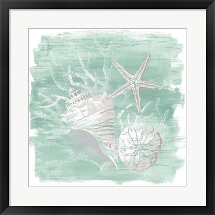 Framed Weathered Shell Assortment I Print