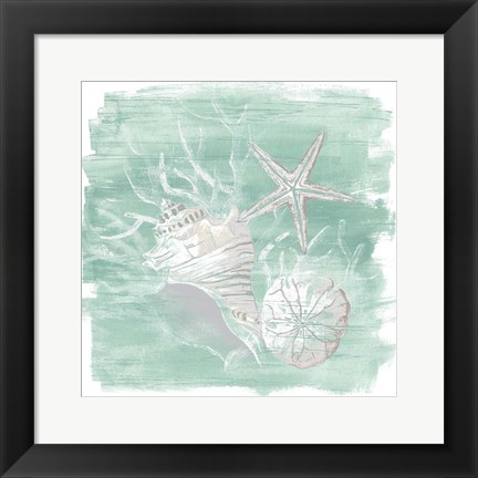 Framed Weathered Shell Assortment I Print