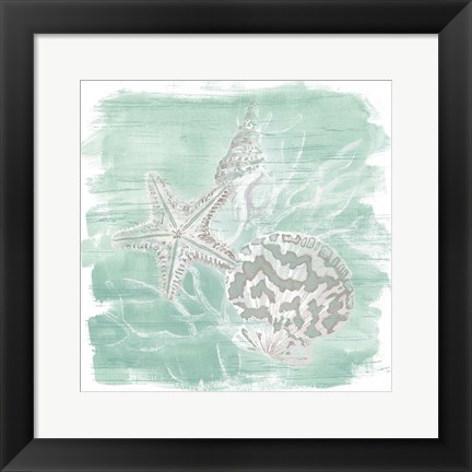 Framed Weathered Shell Assortment II Print