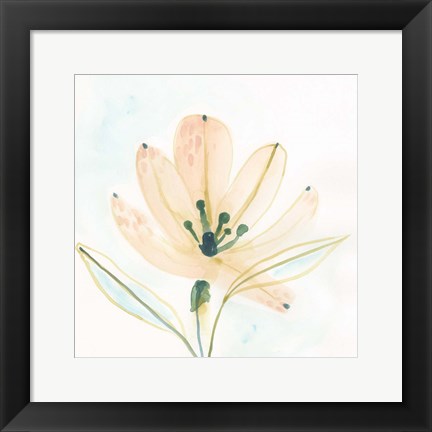 Framed Garden Essence VI Print