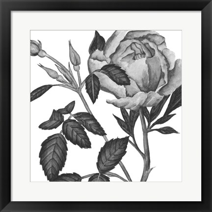 Framed Flowers in Grey I Print