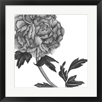 Framed Flowers in Grey III Print