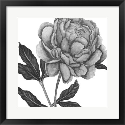 Framed Flowers in Grey IV Print