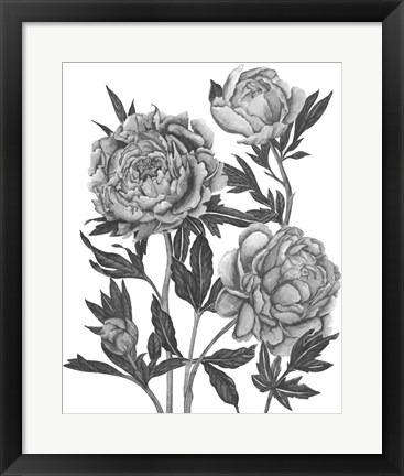 Framed Flowers in Grey V Print