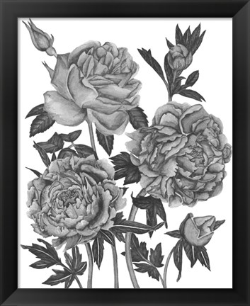 Framed Flowers in Grey VI Print