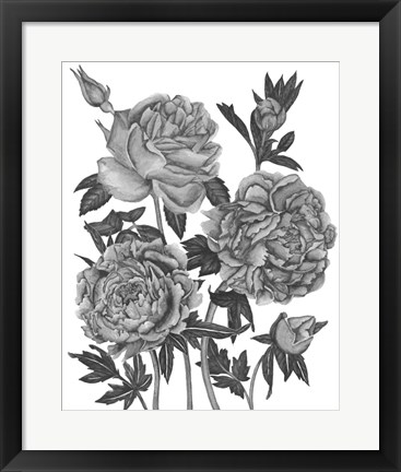 Framed Flowers in Grey VI Print