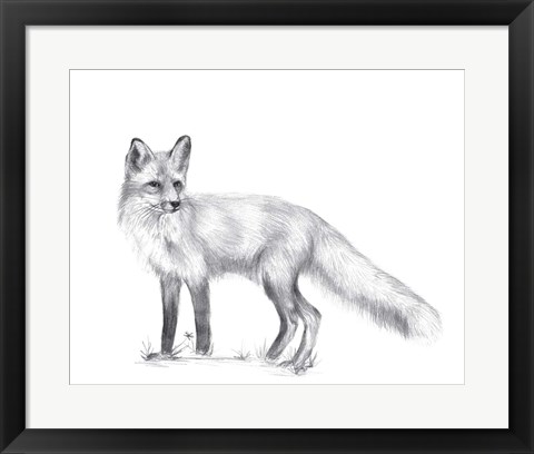 Framed Wildlife Trail I Print