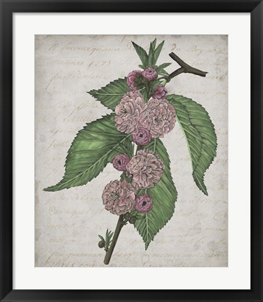 Framed Floral Memory I Print