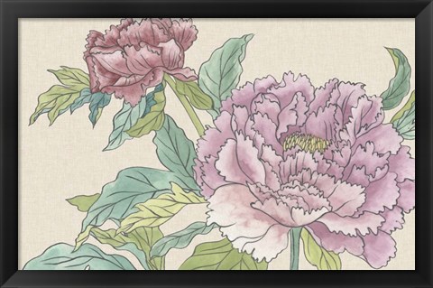 Framed Peony Blooms I Print