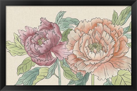 Framed Peony Blooms IV Print