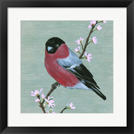 Framed Bird &amp; Blossoms I Print