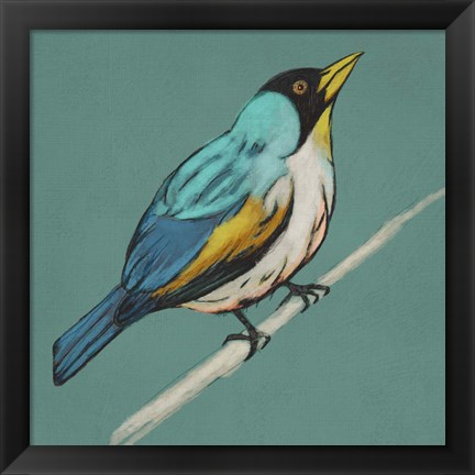 Framed Winged Sketch II on Teal Print