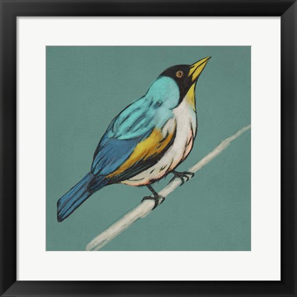 Framed Winged Sketch II on Teal Print