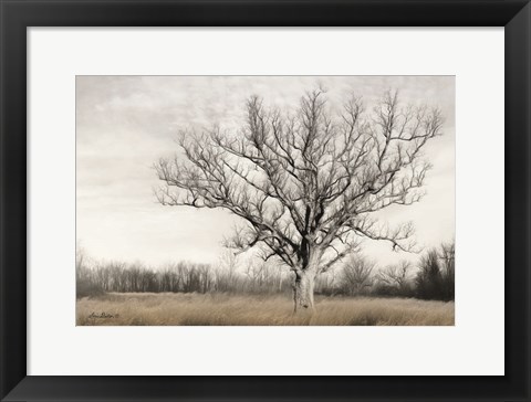 Framed Earth &amp; Sky Print