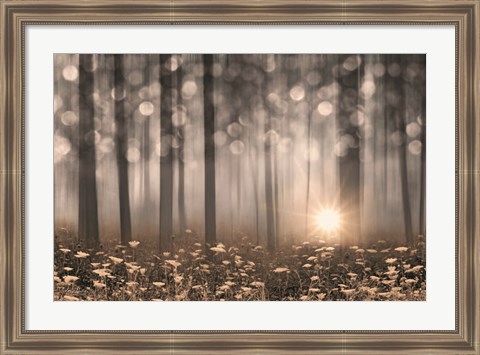 Framed Enchanted Morning Print