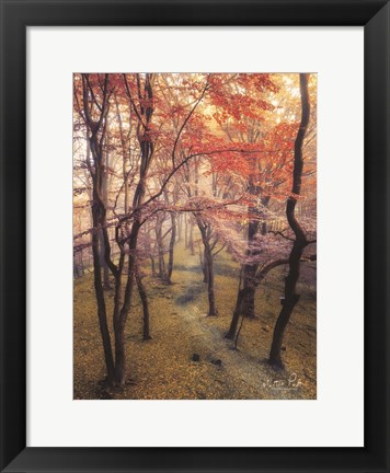 Framed High Up in the Trees Print