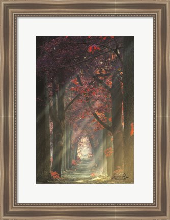 Framed Path of Happiness Print