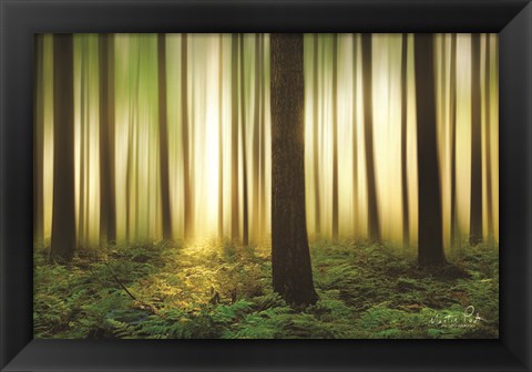 Framed Forest in Motion Print