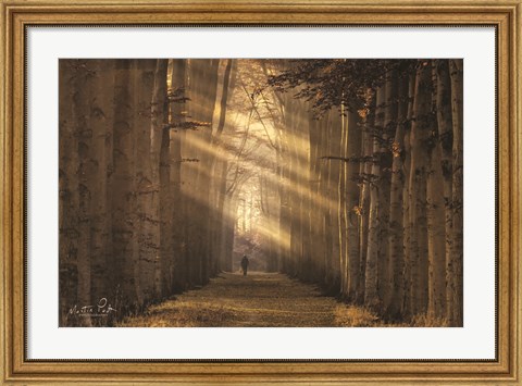 Framed Walking the Dog Again Print