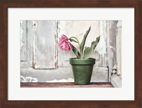 Framed Take a Bow Tulip Print