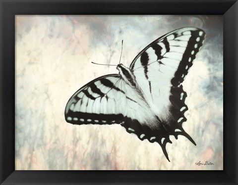 Framed Teal Butterfly II Print