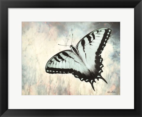 Framed Teal Butterfly II Print