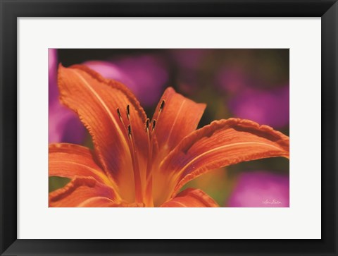 Framed Floral Pop V Print