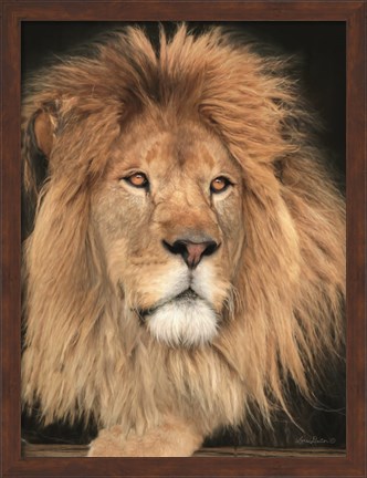 Framed King of the Jungle Print