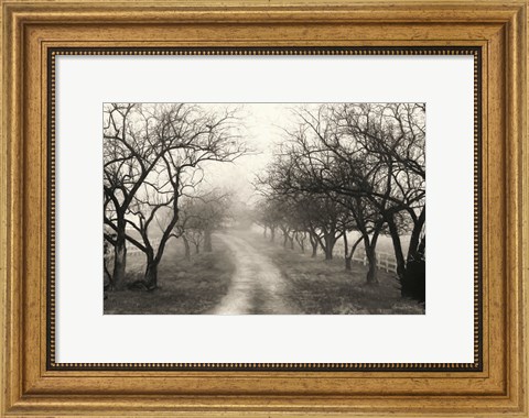 Framed Foggy Lane Print