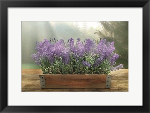 Framed Lavender Planter Print