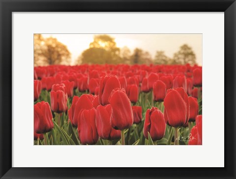 Framed Tulips from Twente Print