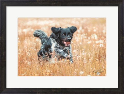 Framed Woof Print