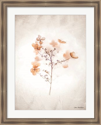 Framed Dried Flowers Print