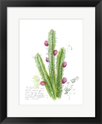 Framed Cactus Verse II Print