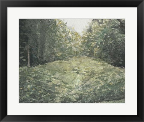 Framed Virginia Forest I Print