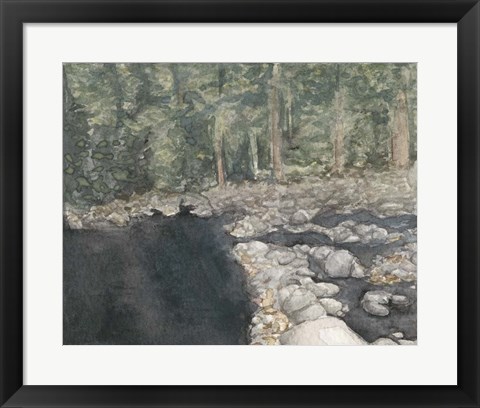 Framed Virginia Forest II Print