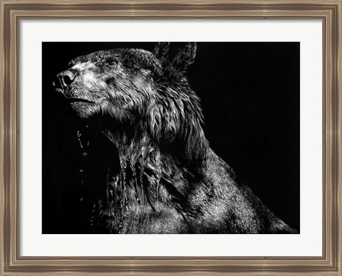 Framed Ursa Major Print