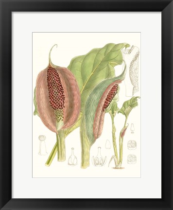 Framed Tropical Variety VI Print