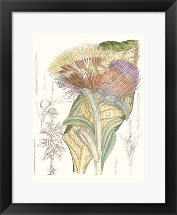 Framed Tropical Variety IX Print