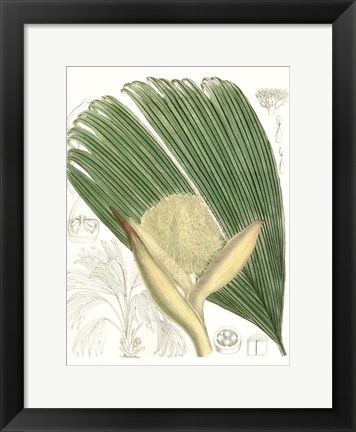 Framed Palm Melange II Print