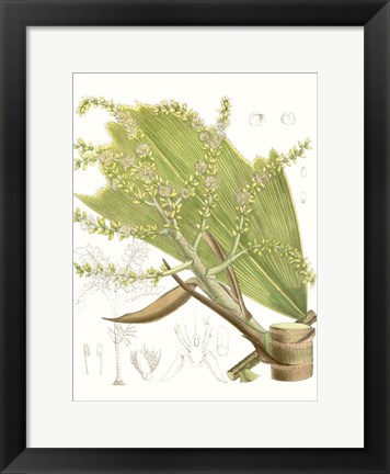 Framed Palm Melange III Print